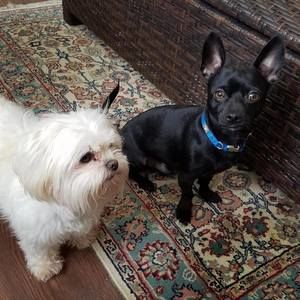 Meet your Posher, Mary